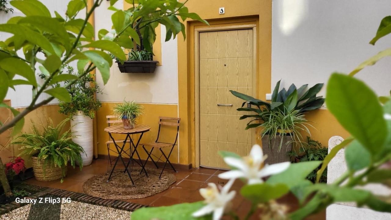 Apartamento Casa Naranjo กอร์โดบา ภายนอก รูปภาพ