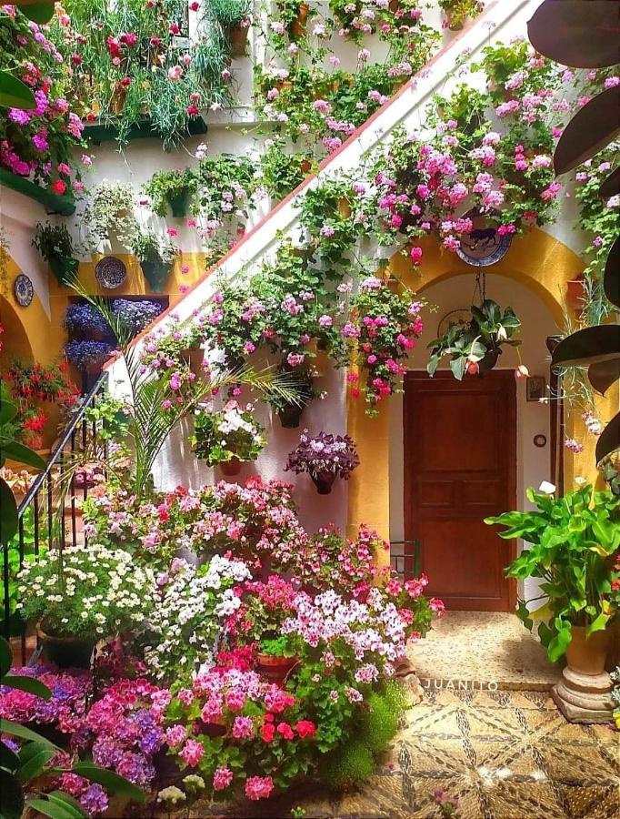 Apartamento Casa Naranjo กอร์โดบา ภายนอก รูปภาพ